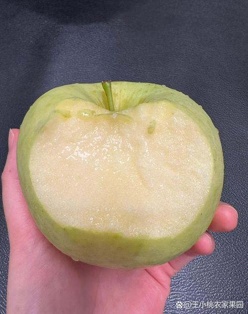 青苹果是没熟的苹果吗