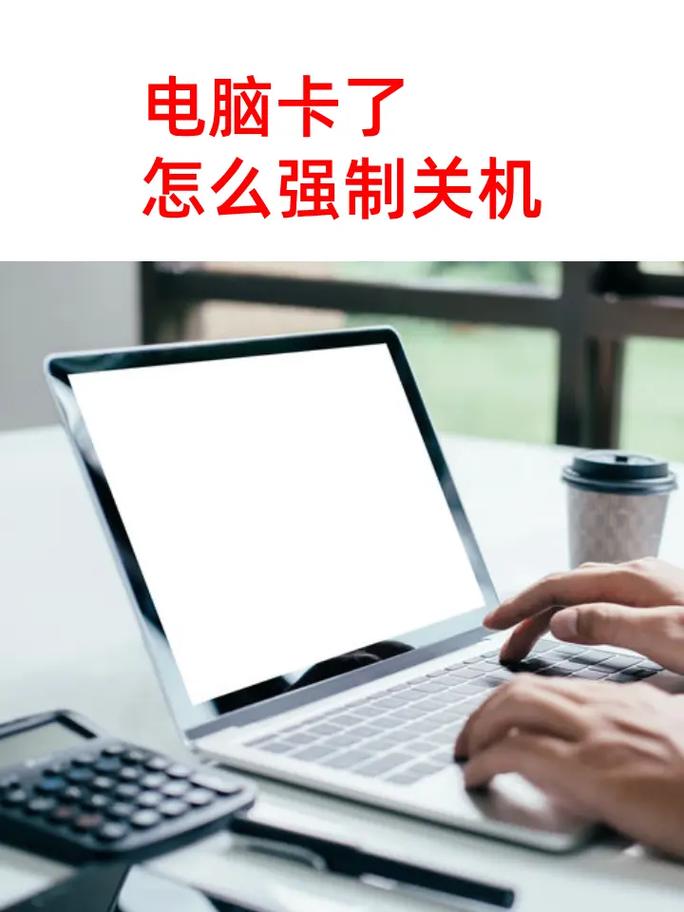 苹果电脑卡死了怎么办