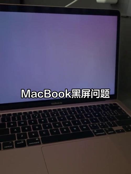 电脑开机不显示桌面黑屏