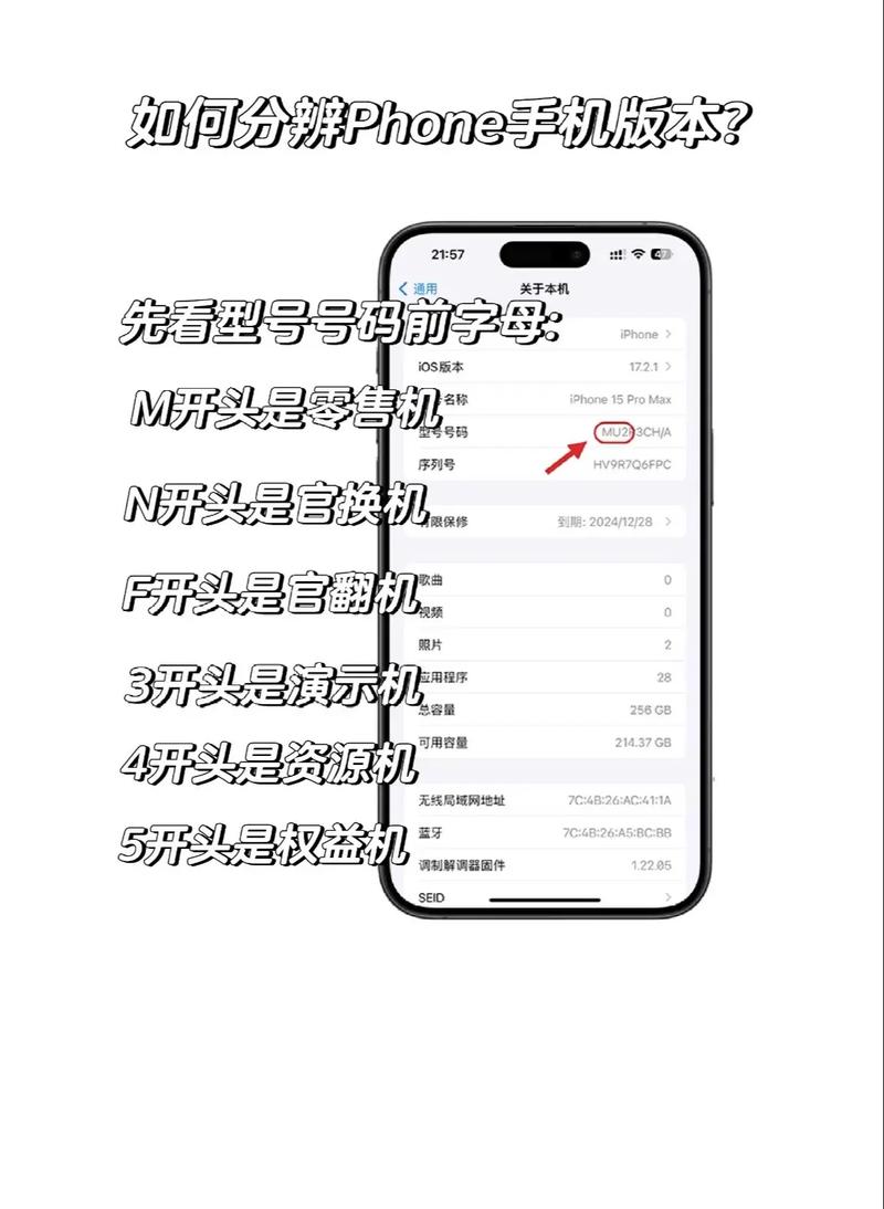 苹果的标点符号在哪里