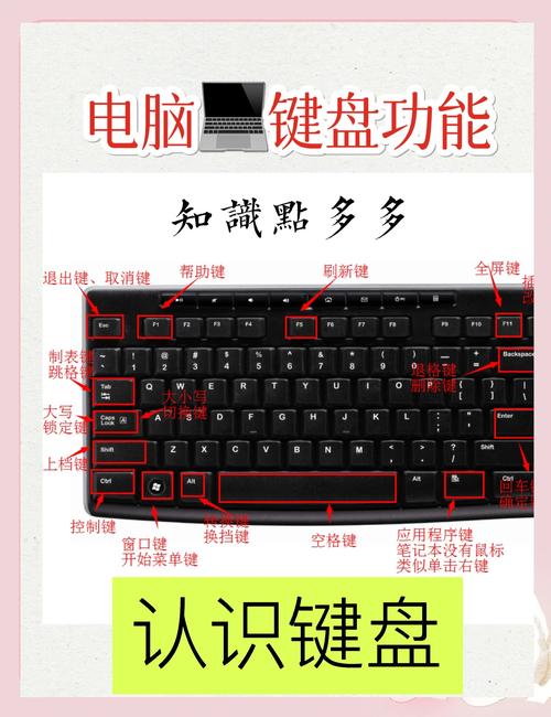 电脑power键是哪个