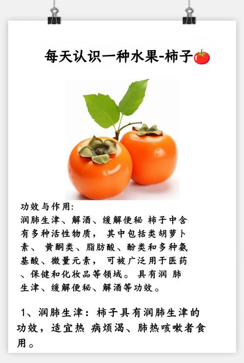 柿子可以和苹果同吃吗