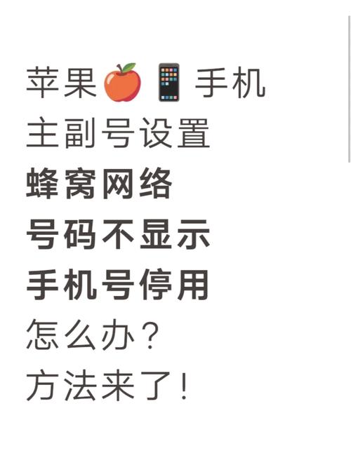 苹果怎么没有描述文件