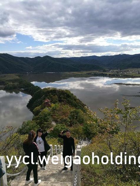 80s手机电影 迅雷