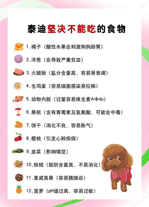 泰迪狗狗可以吃苹果吗