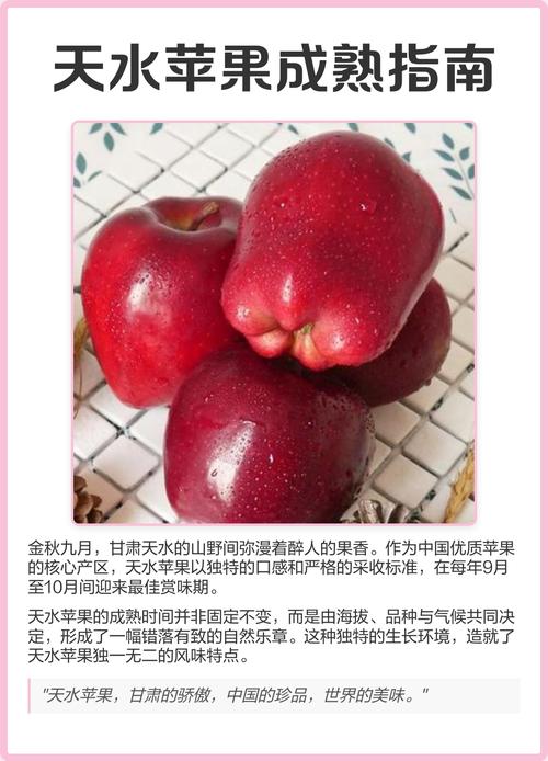 苹果是哪个季节的水果