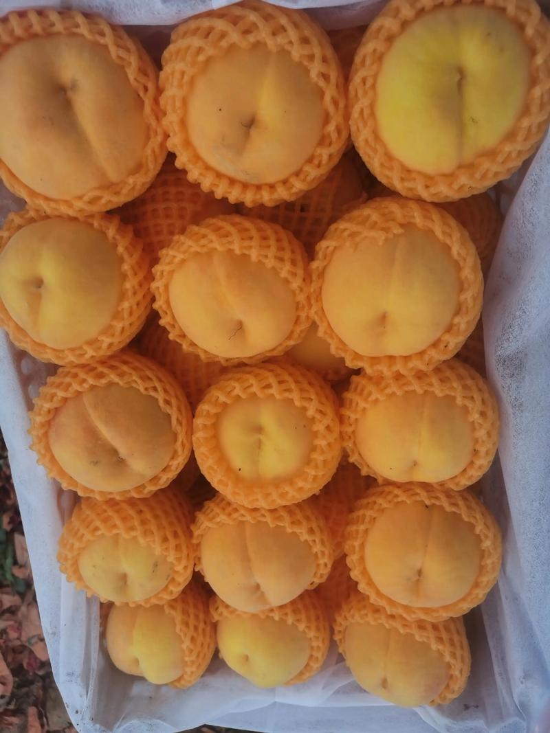 黄桃和苹果能一起吃吗