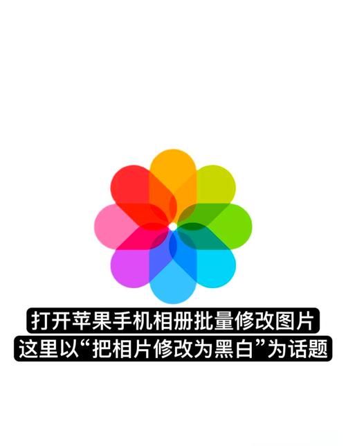 苹果手机怎么下载照片